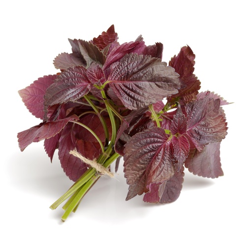 Graines de Shiso pourpre (20g)